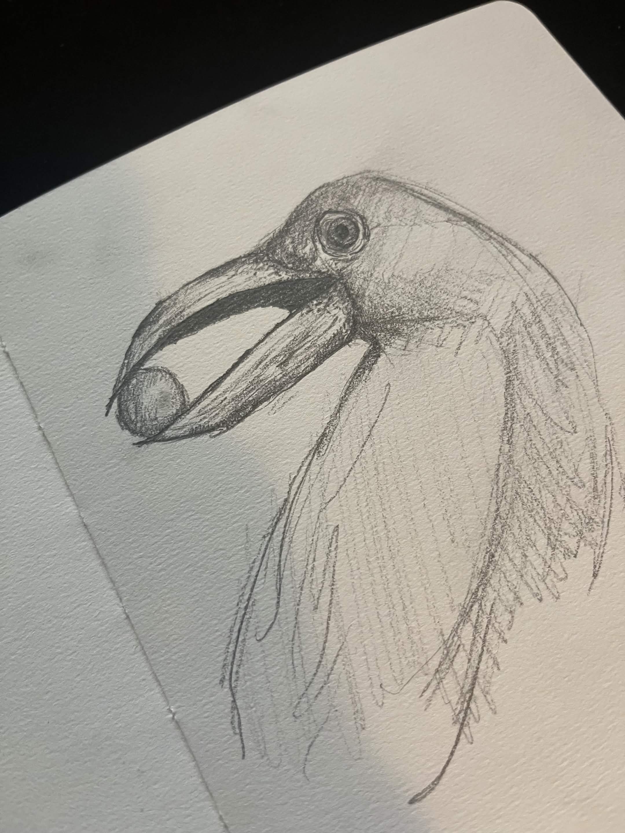 Sketch